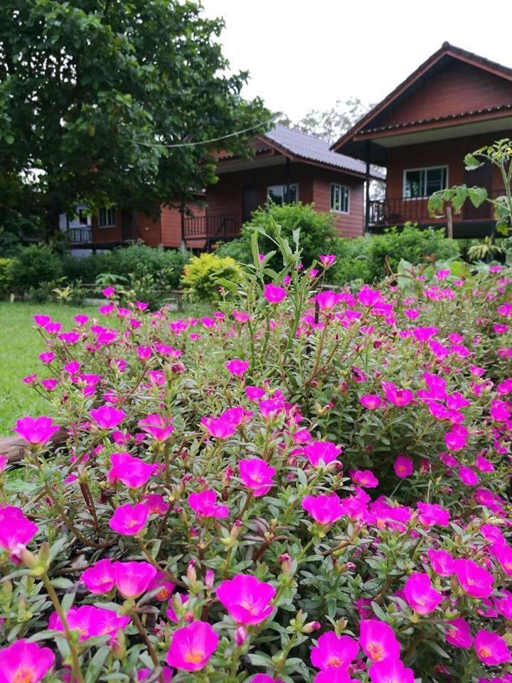 Pasanchai Bungalow วังเวียง ภายนอก รูปภาพ